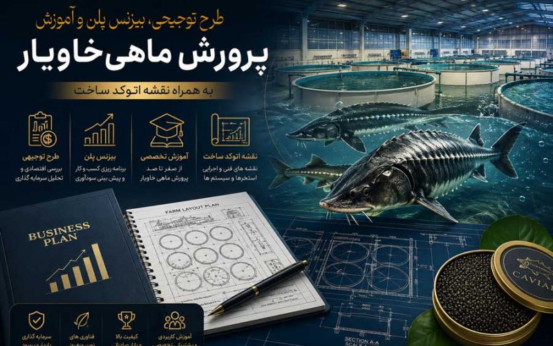 پکیج طرح توجیحی پرورش ماهیان خاویاری؛ به همراه آموزش، نقشه و پلان سازه