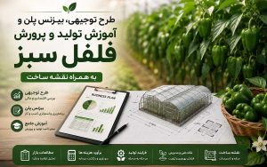پکیج طرح توجیهی پرورش و تولید فلفل دلمه‌ای سبز؛ به همراه آموزش، نقشه و پلان سازه