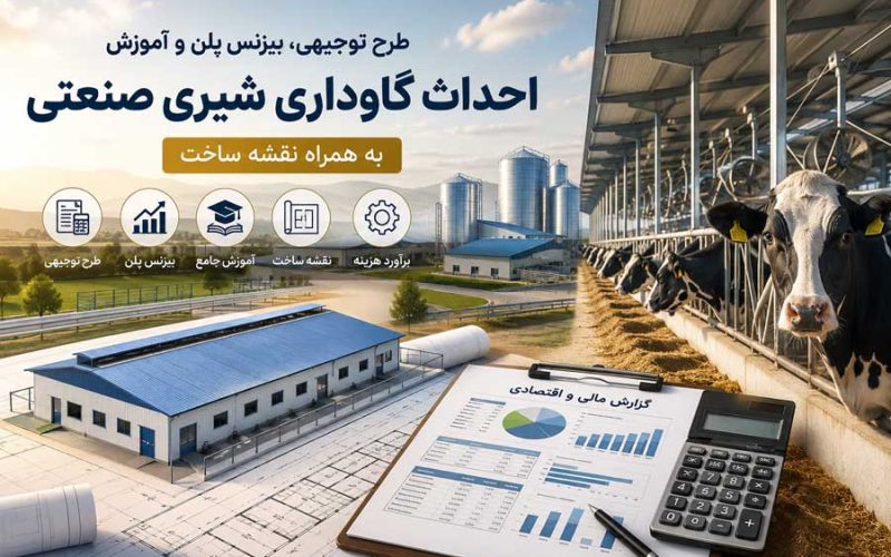 طرح توجیهی، بیزنس پلن و آموزش احداث گاوداری شیری صنعتی به همراه نقشه ساخت