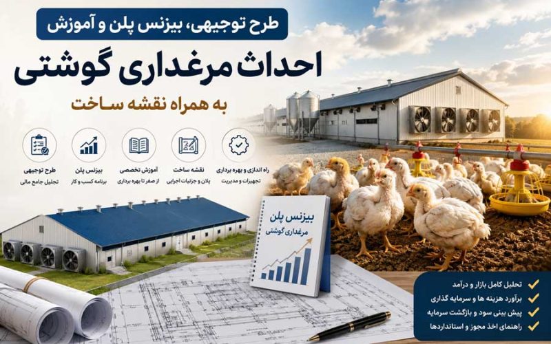 طرح توجیهی، بیزنس پلن و آموزش احداث مرغداری گوشتی به همراه نقشه ساخت