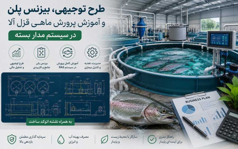پکیج طرح توجیحی پرورش ماهی قزل آلا در سیستم مدار بسته؛ به همراه آموزش، نقشه و پلان سازه